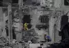 1253135.jpeg.webp