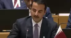 أمير قطر الشيخ تميم
