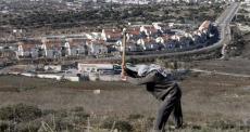مزارع فلسطيني يفلح أرضه قبالة المستوطنات في رام الله