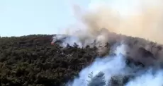 حرائق سوريا