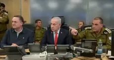 كاتس وزامير