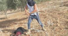 اعتداء مستوطنين على سيدة فلسطينية