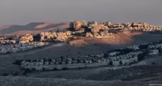 الاستيطان