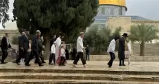 اقتحام الأقصى قبالة قبة الصخرة