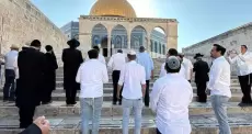 اقتحام الأقصى
