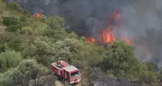 حريق الجزائر