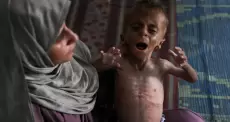 غزة.webp