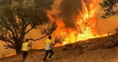 حرائق الجزائر.webp