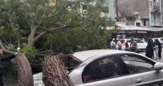 أمطار وسيول تضرب الشمال والساحل السوري