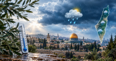 الطقس