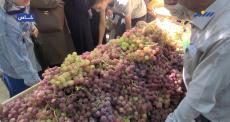 مهرجان العنب.jpg