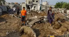 القطاع الحيواني بغزة.webp