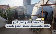 من خيمة النزوح لأرض الزرع.. عائلة فلسطينية تتحدى الجوع بالبذور