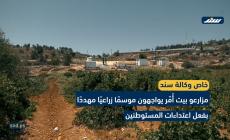مزارعو بيت أُمّر يواجهون موسمًا زراعيًا مهددًا بفعل اعتداءات المستوطنين
