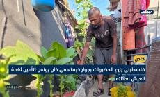 فلسطيني يزرع الخضروات بجوار خيمته في خانيونس لتأمين لقمة العيش لعائلته