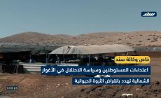 اعتداءات المستوطنين وسياسة الاحتلال في الأغوار الشمالية تهدد بانقراض الثروة الحيوانية