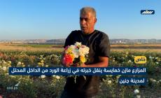 المزارع مازن خمايسة ينقل خبرته في زراعة الورد من الداخل المحتل لمدينة جنين