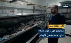 سلاح غير مرئي.. حرب الإبادة تطارد أجنّة غزة في الأرحام