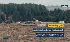 المستوطنون يواصلون اعتداءاتهم في بلدة صوريف شمال الخليل