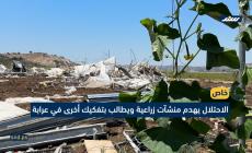 الهدم يقتلع مصدر رزق عائلة 