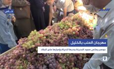 مهرجان العنب بالخليل.. موسم يعكس صمود المدينة وحبها للحياة وإصرارها على البقاء