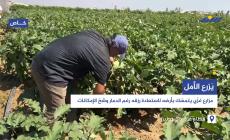 يَزرع الأمل.. مزارع غزّي يتمسّك بأرضه لاستعادة رزقه