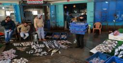 السمك في غزة