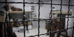 الأسرى في سجون الاحتلال