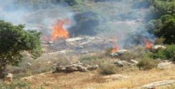 مستوطنون يضرمون النيران بأراضي مادما.jpg