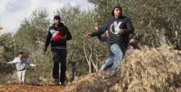 20171130_Settler-attack-Nablus-6-1.jpg