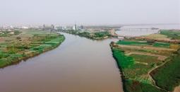 النيل.jpg