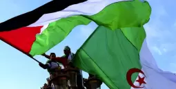 الجزائر وفلسطين.webp