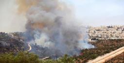 مستوطنون يحرقون مزروعات جنوب نابلس