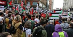 التضامن مع فلسطين