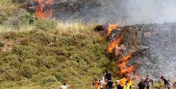 احراق أراضي المواطنين في بورين