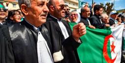 قضاة الجزائر