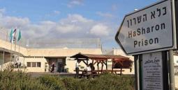 سجن هشارون الإسرائيلي.jpg