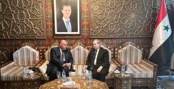 وزير خارجية مصر في دمشق