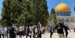 اقتحامات الأقصى