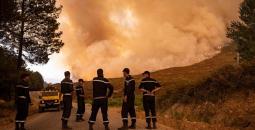 حرائق الغابات بالجزائر