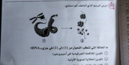 تسريب امتحان الاحياء بمصر