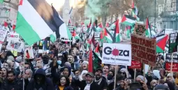 التضامن مع غزة.webp