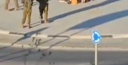 مستوطنون بالخليل.jpg