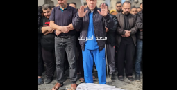 سبسيبسبسي.png