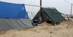 بلدية رفح