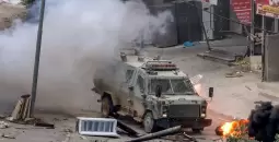 جنين