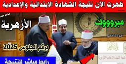استعلم عن نتائج الشهادة الابتدائية والإعدادية 2025 بسهولة
