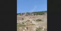 غارة النبطية