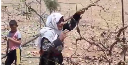 الحاجة صبرية أبو عرام
