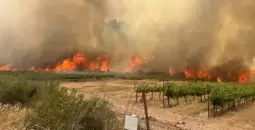 حرائق القدس